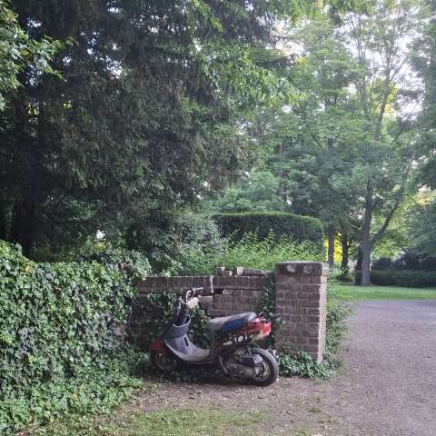Bild zu gemeldetem Anliegen vom *2025-05-22 09:50:34