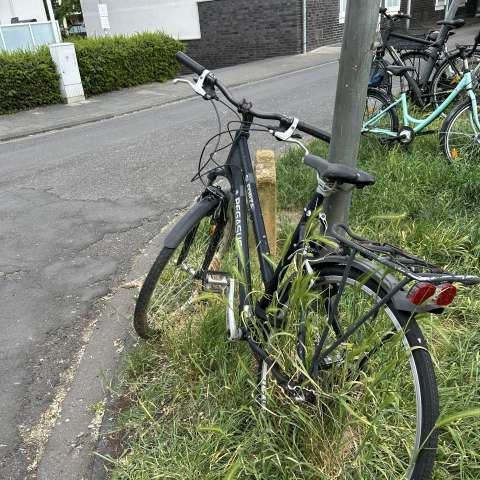 Bild zu gemeldetem Anliegen vom *2025-05-22 06:32:14