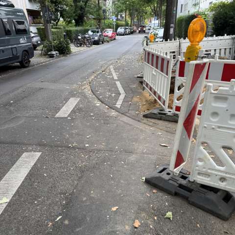 Bild zu gemeldetem Anliegen vom *2025-09-18 08:19:21