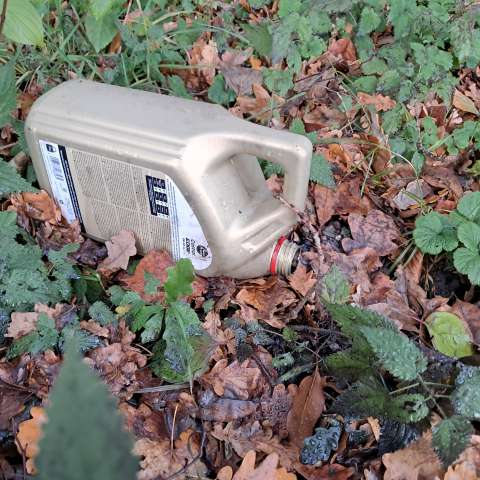 Bild zu gemeldetem Anliegen vom *2025-11-25 20:21:33