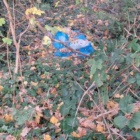 Bild zu gemeldetem Anliegen vom *2025-11-25 20:21:47