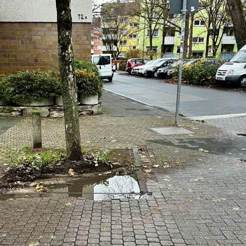 Bild zu gemeldetem Anliegen vom *2025-11-25 18:34:50