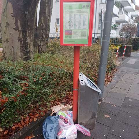 Bild zu gemeldetem Anliegen vom *2025-12-03 08:54:02