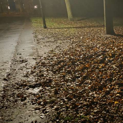 LauAnliegen vom *2025-12-03 06:30:46