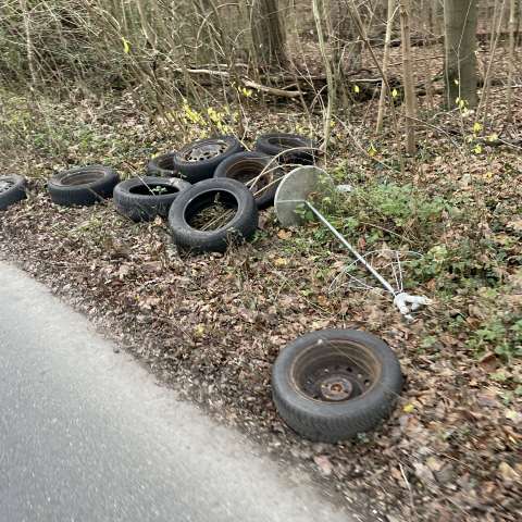 Bild zu gemeldetem Anliegen vom *2025-12-17 14:19:02