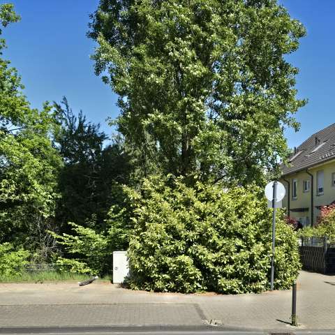 Bild zu gemeldetem Anliegen vom *2026-05-01 12:27:13