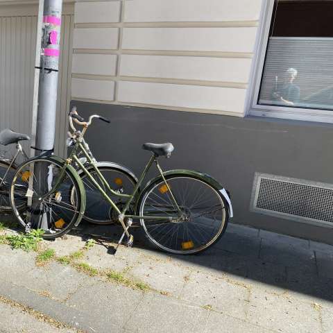 Bild zu gemeldetem Anliegen vom *2026-05-01 12:27:13