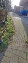 Bild zu gemeldetem Anliegen vom *2023-12-17 07:36:54
