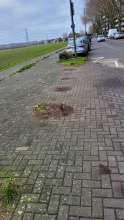 Bild zu gemeldetem Anliegen vom *2023-12-11 10:53:19