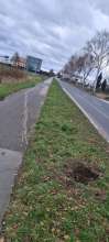 Bild zu gemeldetem Anliegen vom *2023-12-31 03:38:56
