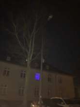 Bild zu gemeldetem Anliegen vom *2023-12-20 12:05:07, defektes Leuchtmittel