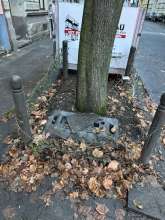 Bild zu gemeldetem Anliegen vom *2023-12-12 18:41:28