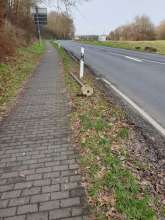 Bild zu gemeldetem Anliegen vom *2024-01-25 13:32:38