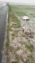Bild zu gemeldetem Anliegen vom *2024-01-17 13:41:56