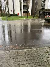 Bild zu gemeldetem Anliegen vom *2024-01-02 15:00:19