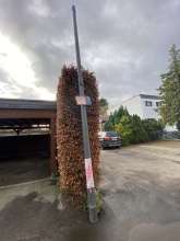 Bild zu gemeldetem Anliegen vom *2024-01-08 07:14:56