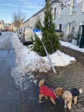 Bild zu gemeldetem Anliegen vom *2024-01-23 18:03:50