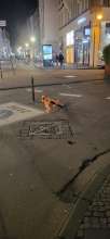 Bild zu gemeldetem Anliegen vom *2024-01-31 13:13:25