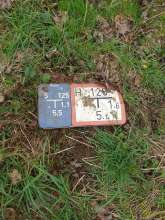 Bild zu gemeldetem Anliegen vom *2024-02-21 15:08:51