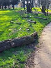 Bild zu gemeldetem Anliegen vom *2024-03-10 14:00:19