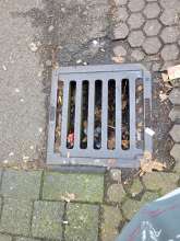 Bild zu gemeldetem Anliegen vom *2024-03-26 13:02:17