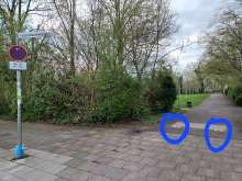 Bild zu gemeldetem Anliegen vom *2024-03-25 15:27:38