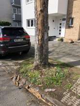 Bild zu gemeldetem Anliegen vom *2024-03-25 12:27:53