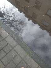 Bild zu gemeldetem Anliegen vom *2024-03-24 10:10:16