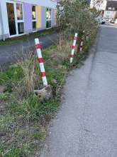 Bild zu gemeldetem Anliegen vom *2024-03-11 03:27:27