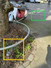 Bild zu gemeldetem Anliegen vom *2024-03-09 12:24:56