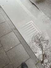 Bild zu gemeldetem Anliegen vom *2024-03-13 03:27:58