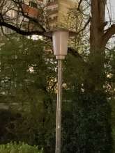 Bild zu gemeldetem Anliegen vom *2024-03-29 21:27:28