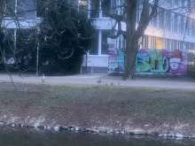 Bild zu gemeldetem Anliegen vom *2024-03-10 18:30:52