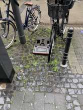 Bild zu gemeldetem Anliegen vom *2024-03-11 13:08:24