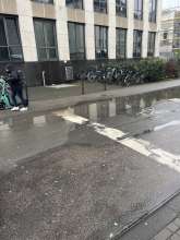 Bild zu gemeldetem Anliegen vom *2024-03-13 03:27:58