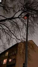 Bild zu gemeldetem Anliegen vom *2024-03-07 17:22:17