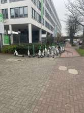 Bild zu gemeldetem Anliegen vom *2024-03-04 09:41:38
