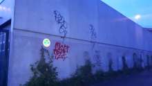 Bild zu gemeldetem Anliegen vom *2024-04-17 06:08:45