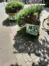 Bild zu gemeldetem Anliegen vom *2024-04-30 12:29:20