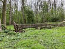 Bild zu gemeldetem Anliegen vom *2024-04-05 09:27:47