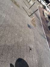 Bild zu gemeldetem Anliegen vom *2024-04-04 14:28:38