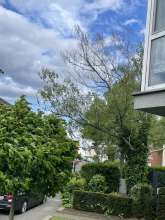 Bild zu gemeldetem Anliegen vom *2024-04-28 10:42:45