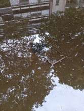 Bild zu gemeldetem Anliegen vom *2024-05-06 08:10:50