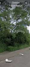 Bild zu gemeldetem Anliegen vom *2024-05-02 12:27:43