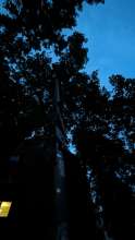 Bild zu gemeldetem Anliegen vom *2024-05-19 21:28:58