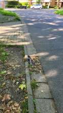 Bild zu gemeldetem Anliegen vom *2024-05-23 09:48:31