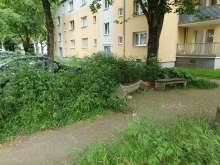 Bild zu gemeldetem Anliegen vom *2024-05-15 12:32:12