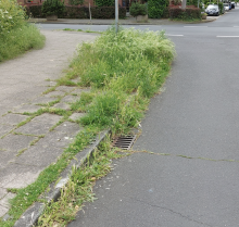 Bild zu gemeldetem Anliegen vom *2024-05-29 00:36:13