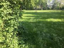 Bild zu gemeldetem Anliegen vom *2024-05-13 14:52:28