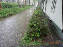 Bild zu gemeldetem Anliegen vom *2024-05-06 09:30:29